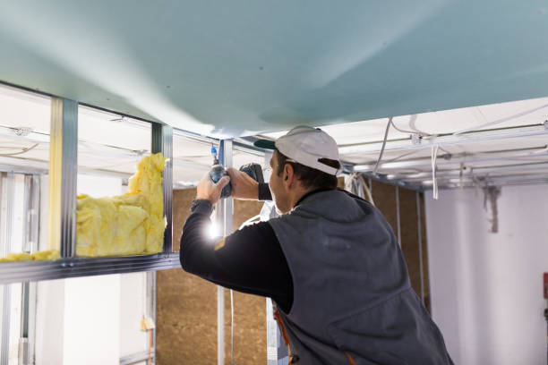 Best Attic Insulation Installation  in Ceredo, WV