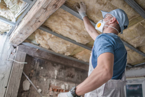Best Commercial Insulation Contractor  in Ceredo, WV